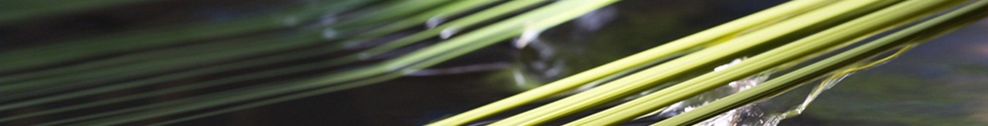 tube supplier
