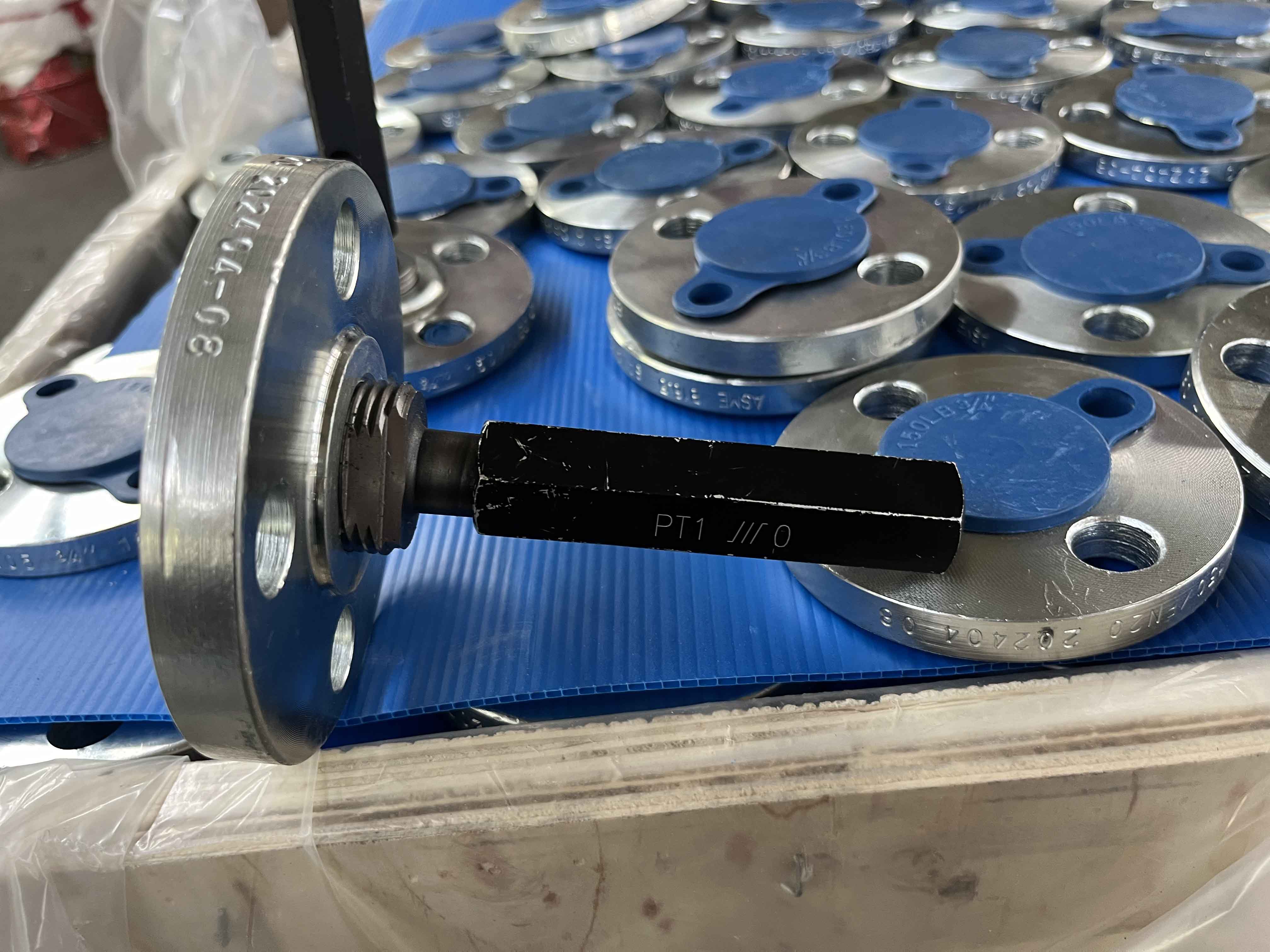 Delivered on schedule GI Flanges
